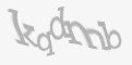 Kod antyspamowy