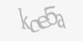 Kod antyspamowy